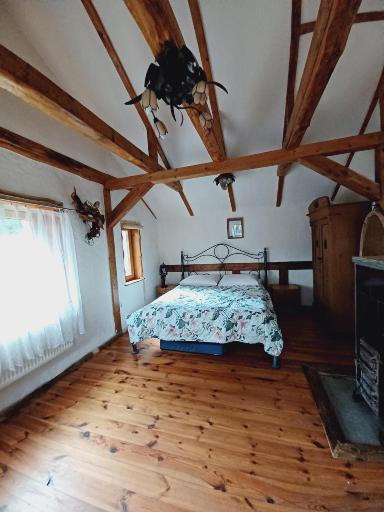 Dziupla Apartment