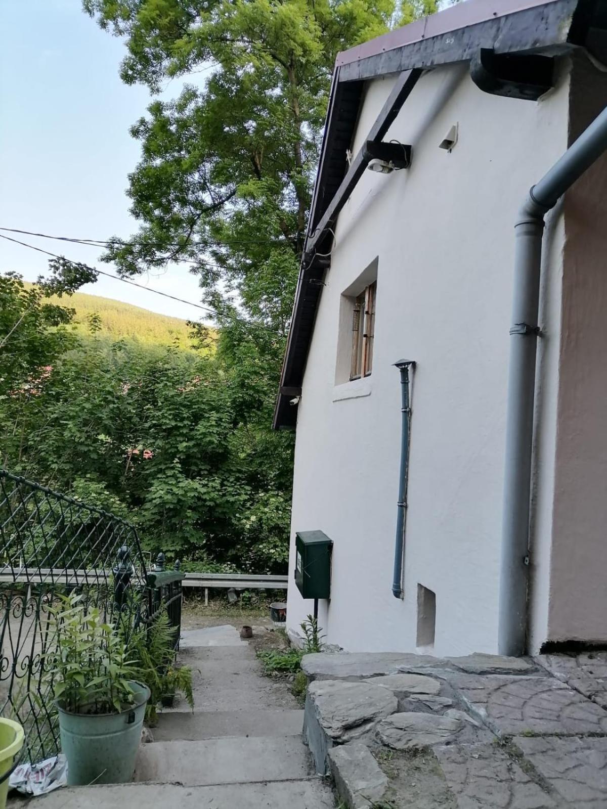 Apartment Dziupla *