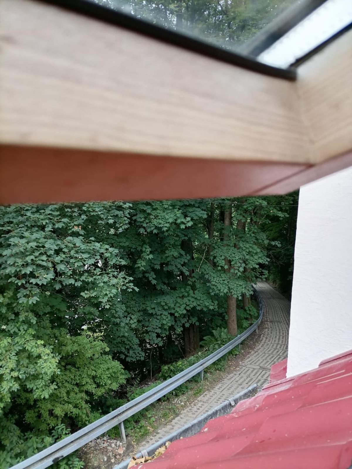 Apartment Dziupla *